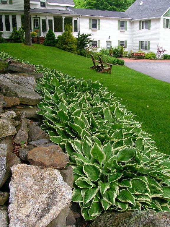 White Cedar Inn Bed And Breakfast Freeport Esterno foto